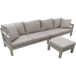 Midori set salix