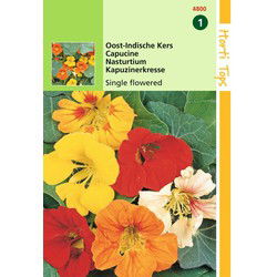 2 stuks - 