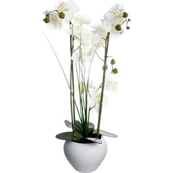 Atmosphera Kunstplant Orchidee - witte bloemen in pot - H53 cm - Kunstplanten