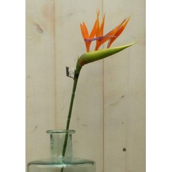 Kunstparadijsvogelbloem strelitzia op steker oranje