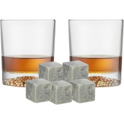 Royal Leerdam whiskyglazen - set 4x stuks 290 ml - 9x whisky ijsblokstenen - Whiskeyglazen