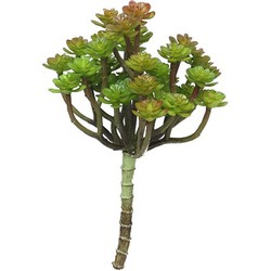 Künstlicher Kaktuszweig 19 cm - Grün/Rot Künstliche Pflanze - Nova Nature