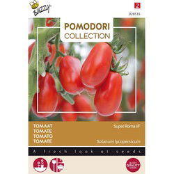 3 stuks - Pomodori super roma