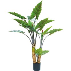 Kunstplant Alocasia Dubbel 160 cm - Buitengewoon de Boet