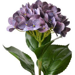 Clayre & Eef Kunstbloem Hortensia 68 cm Paars Kunststof
