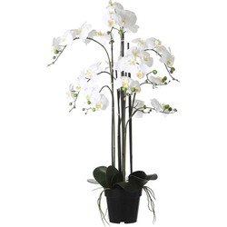 Mica Decorations Phalaenopsis Kunstplant - H97 x Ø19 cm - Pot - Crème