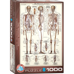 Eurographics Eurographics puzzel Skeletal System - 1000 stukjes