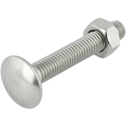 Slotbout m6x50mm rvs