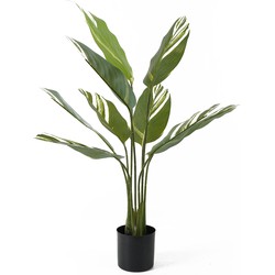 Present Time - Kunstplant Calathea - Groen