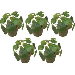 5x Groene kunstplanten pilea planten in pot 13 cm - Kunstplanten