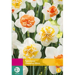 3 stuks - Narcissus Macaron Bloss 12 bollen