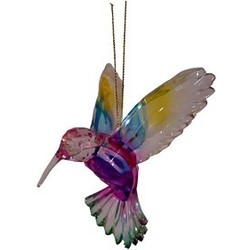 Hummingbird Rainbow