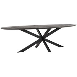 DTP Home Dining table Shape oval BLACK,78x280x120 cm, recycled teakwood