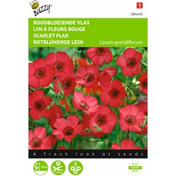 2 stuks - Saatgut Linum red flowering flax - Buzzy