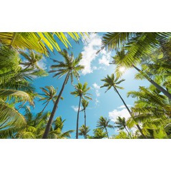 Sanders & Sanders fotobehang palmbomen groen en blauw - 450 x 280 cm - 612689