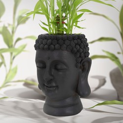 Plant Pot Boeddha Hoofd 23x23x44 cm Antraciet Polyresin ML-Design