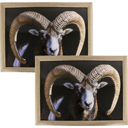 2x stuks schootkussens/laptrays ram/schaap print 33 x 43 cm - Dienbladen