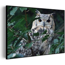 Muurwerken Akoestisch Schilderij - Uil Op Tak - Geluidsdempend Wandpaneel - Wanddecoratie - Geluidsisolatie - PRO (AW 0.90) L (100x72)