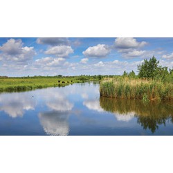 Water wolk 130x70cm Tuinschilderij