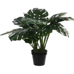 Monstera Kunstplant Elite - H60 x Ø80 cm - Groen | NeverLeafs