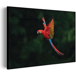 Muurwerken Akoestisch Schilderij - Vliegende Ara Vogel - Geluidsdempend Wandpaneel - Wanddecoratie - Geluidsisolatie - BASIC (AW 0.65) XL (120x86)
