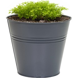 Mega Collections plantenpot/bloempot Bob - zink - donkerblauw - D11 X H10 cm - IJzeren emmer / teil