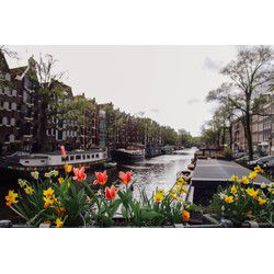Tuinschilderij bloemengracht 70x50