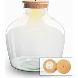 URBANJNGL - Terrarium met kurk - Fat Joe - Gesloten terrarium ↑ 30 cm