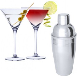 Set van 4x Martini cocktailglazen met cocktailshaker semi-mat RVS - Cocktailglazen