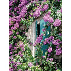 Bloemen luiken 50x70cm Tuinschilderij - Customize-it
