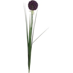 Mica Decorations Kunstbloem - allium bol - paars - 80 cm - Kunstbloemen