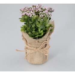 Plantje in jute zak Fleur paars