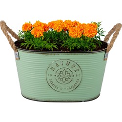 Sunnydays Teil/plantenpot - zink - jadegroen - L29 x D18 x H15 cm - IJzeren emmer / teil