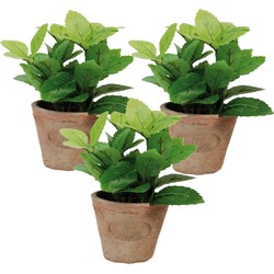 3x stuks kunstplanten muntkruiden in terracotta pot 16 cm - Kunstplanten