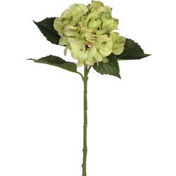 Mica Decorations Kunstbloem - Hortensia tak - groen - 51 cm - Kunstbloemen