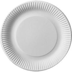 100x kartonnen lunchborden 23 cm - Bordjes