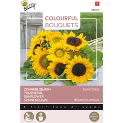 Colourful Bouquets, Sunlit Days (Zonnebloemen halfhoog) - Buzzy