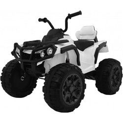 Elektrische Quad 12volt rubberen banden met afstandsbediening