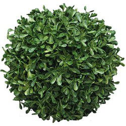 Box Princeville ball 20 cm kunstplant