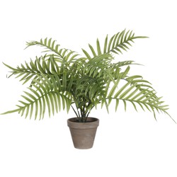 Mica Decorations Palm kunstplant/struik - groen - H53 x D45 cm - Kunstplanten