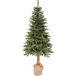 Tiaga fir d98h210 cm groen