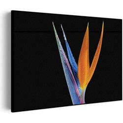 Muurwerken Akoestisch Schilderij - Tropische Strelitzia - Geluidsdempend Wandpaneel - Wanddecoratie - Geluidsisolatie - PRO (AW 0.90) L (100x72)