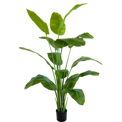 PrettyPlants Strelitzia Kunstplant - Nepplanten - Home Decor - Kunstplanten Binnen - Gemiddeld Formaat - 160 cm