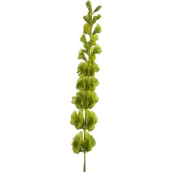 Groene Molucella kunstplant takken 80 cm - Kunstbloemen