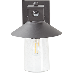 Beliani GOODIE - Outdoor wandlamp-Zwart-IJzer