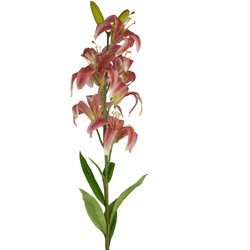 Greenmoods Kunstbloem Martagon Lelie - Lilium martagon - Nep plant - 1 Stuk - 78cm - Oude Roze