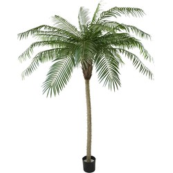 Hoyz Greenery - Kunstpalm Phoenix De Luxe 210 cm