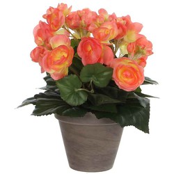 Mica Decorations begonia maat in cm: 30 x 25 zalm