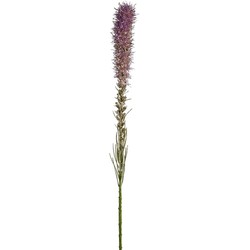 Tige de Liatris - Violet / 80 cm