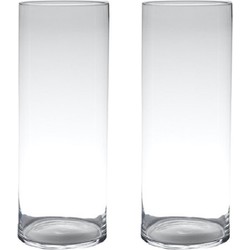 Set van 2x stuks transparante home-basics cylinder vorm vaas/vazen van glas 60 x 19 cm - Vazen